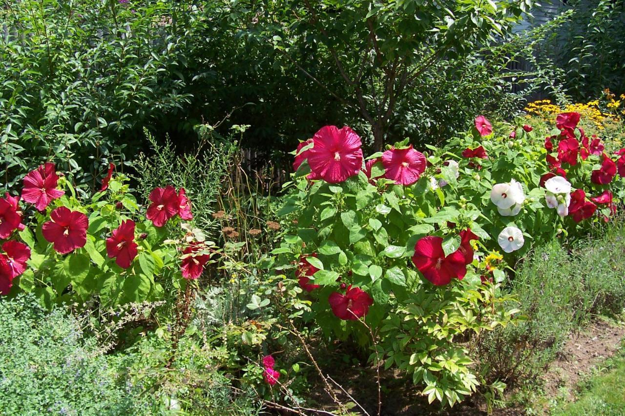 East Marion Arbor View House Bed And Breakfast المظهر الخارجي الصورة