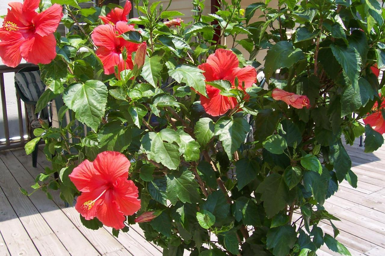 East Marion Arbor View House Bed And Breakfast المظهر الخارجي الصورة
