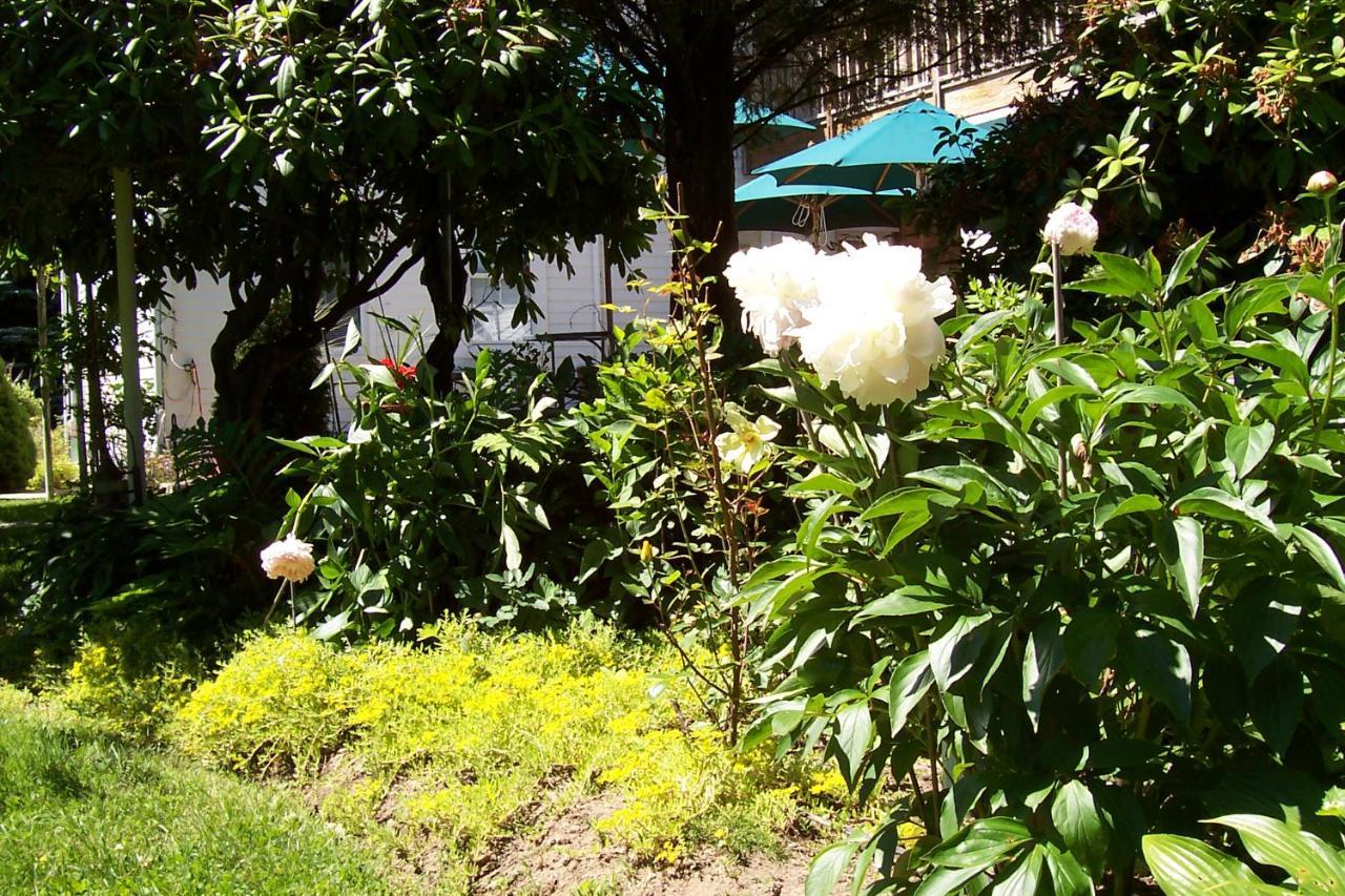 East Marion Arbor View House Bed And Breakfast المظهر الخارجي الصورة