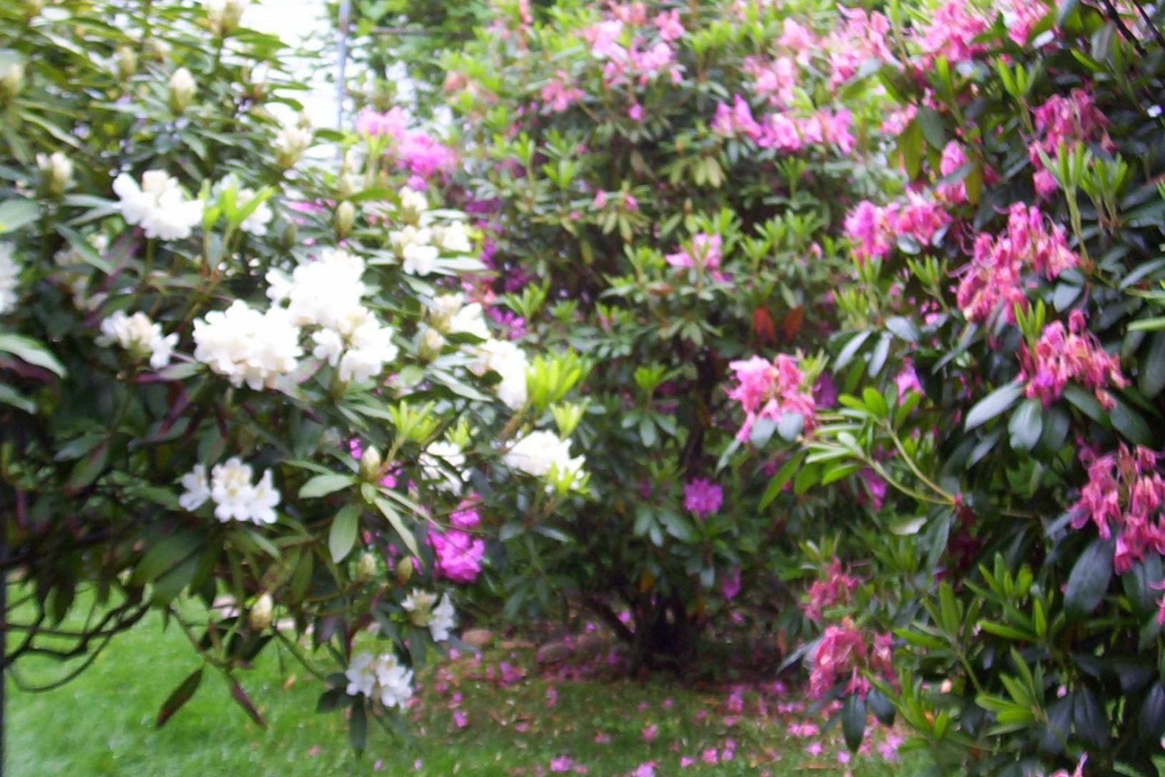 East Marion Arbor View House Bed And Breakfast المظهر الخارجي الصورة