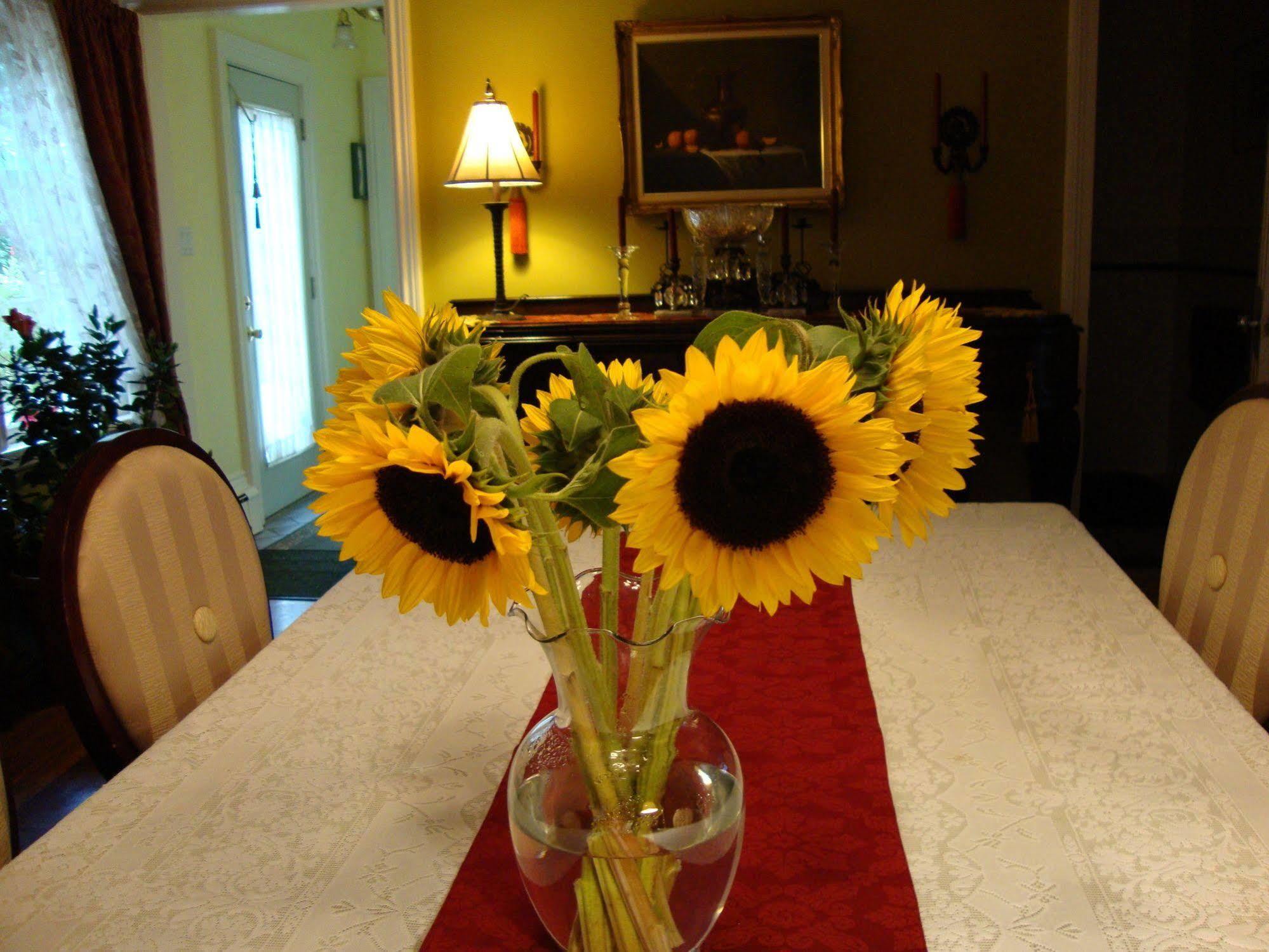East Marion Arbor View House Bed And Breakfast المظهر الخارجي الصورة